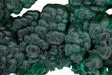 Spectacular, Malachite Cluster - Check Out Video! #176319-2